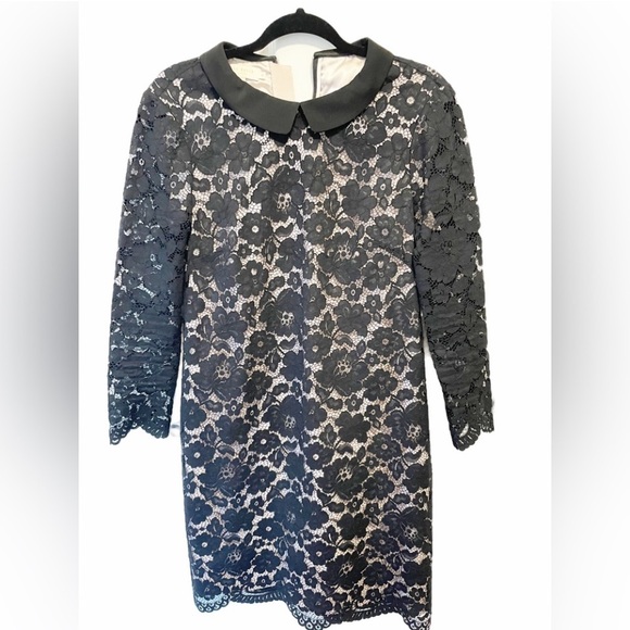 Ted Baker dress lace size large excellent no flaws - Picture 2 of 4